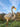 Metal Crane Sculpture | 135 cm / 54 in | Garden Decor, Pond Ornament