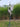 Majestic Garden Crane Sculpture | 150 cm / 60 in | Outdoor Art, Nature Decor