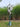 Majestic Garden Crane Sculpture | 150 cm / 60 in | Outdoor Art, Nature Decor