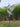 Majestic Garden Crane Sculpture | 150 cm / 60 in | Outdoor Art, Nature Decor