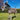 Metal Donkey Garden Statue | 60 cm / 24 in | Colorful Outdoor Art, Patio Decor Gift
