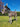 Metal Donkey Garden Statue | 60 cm / 24 in | Colorful Outdoor Art, Patio Decor Gift