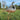 Rustic Metal Ostrich Chick Sculpture | Lifelike Garden Animal Decor | Iron Outdoor Art Bird – 72.5 cm