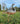 Rustic Metal Ostrich Chick Sculpture | Lifelike Garden Animal Decor | Iron Outdoor Art Bird – 72.5 cm