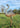 Rustic Metal Ostrich Chick Sculpture | Lifelike Garden Animal Decor | Iron Outdoor Art Bird – 72.5 cm