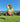 XXL Metal Hen Sculpture | 150 cm / 59 in | Colorful Garden Art, Farmhouse Decor Gift