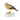 Bronze Finch Bird Sculpture | 15 cm / 5.9 in | Decorative bird figurine symbol of freedom